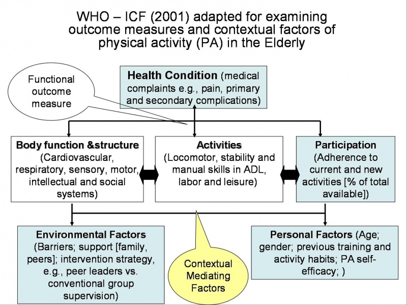 מודל מותאם מתוך WHO-ICF לתיאור משתני ההקשר וההשתתפות שיבדקו במחקר